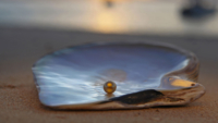 I4-001 Mother of pearl sheets