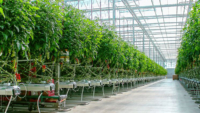 D4-001 Agriculture development