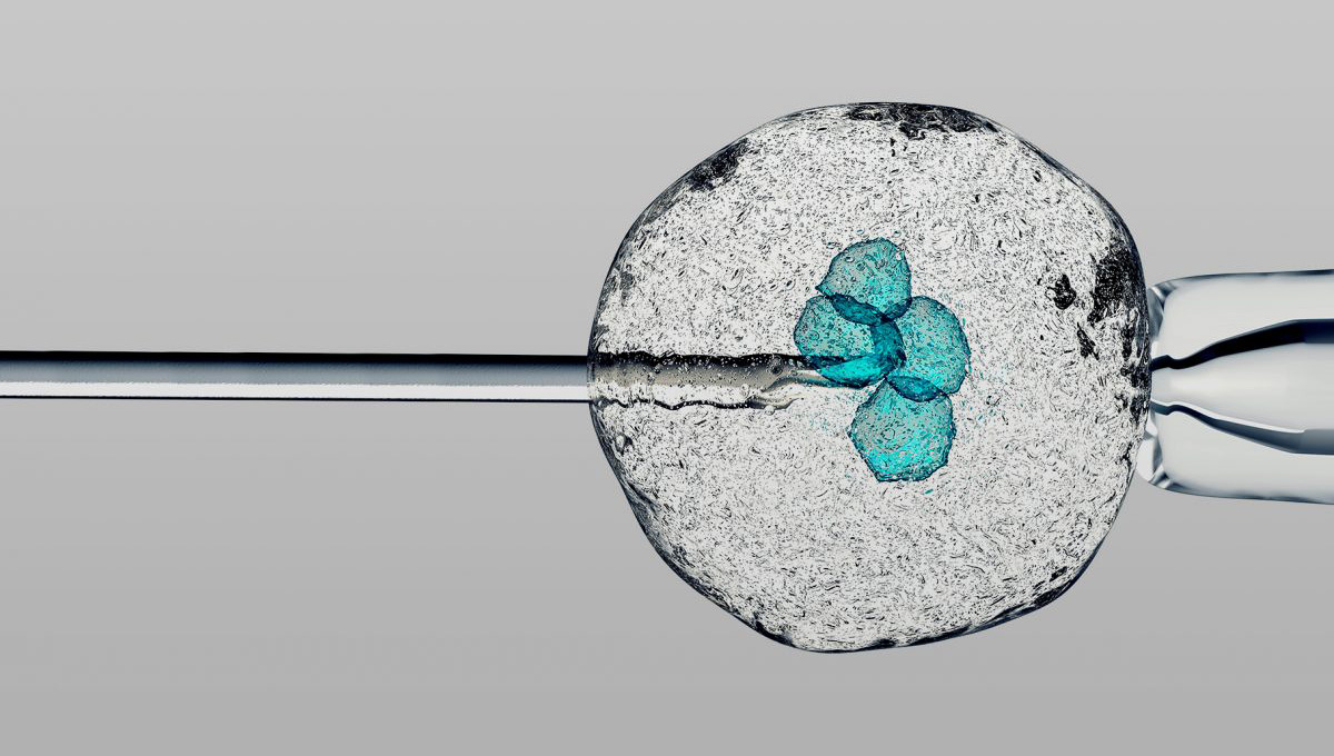 IB-002 - A new paradigm in life sciences research: 3D dynamic biology