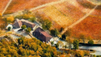 A multifaceted farm in the area of the Alto Monferrato