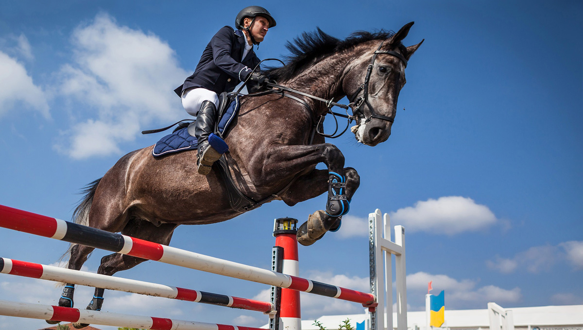 i13-004 - Very Exclusive Country Resort, with horse centre