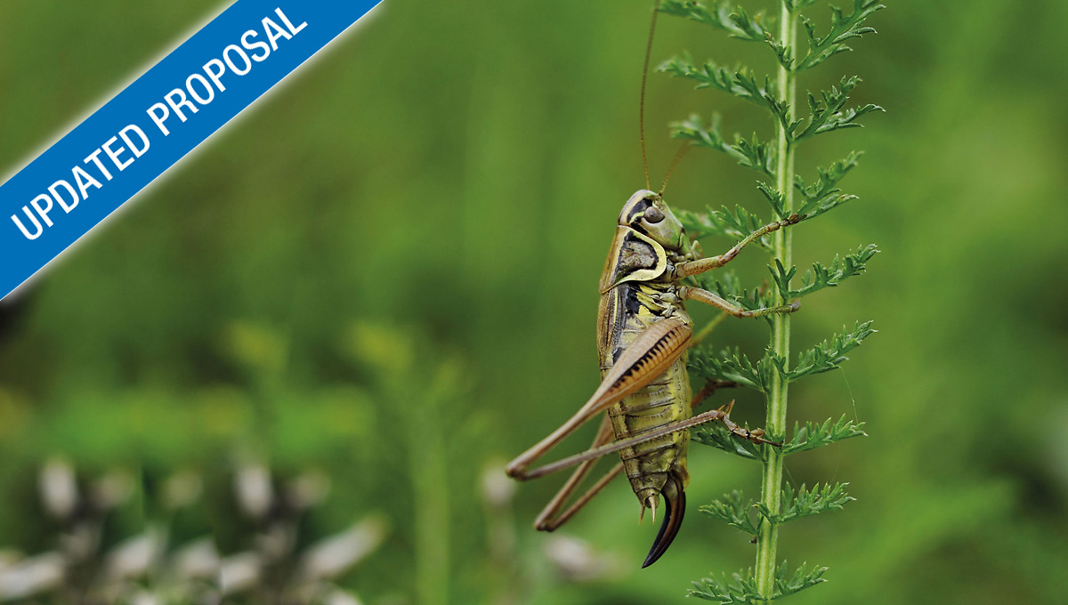 i1-002 - Insects as a sustainable protein source