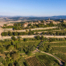 Three investments in Brunello di Montalcino, one of the world's best wines